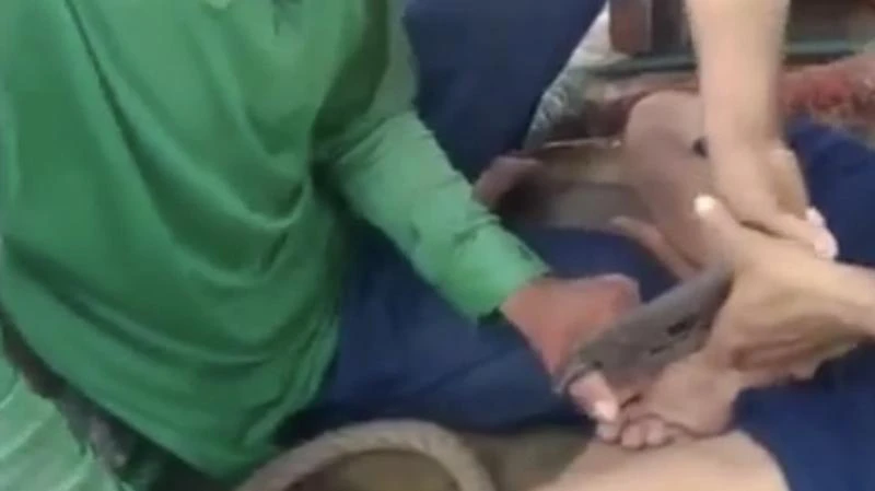 Hình ảnh được cắt từ clip trên mạng xã hội thể hiện 2 ngư dân trên tàu cá ở Cà Mau bị bạn tàu đi cùng hành hạ, đánh đập.