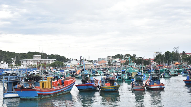 Khu vực cảng An Thới. 