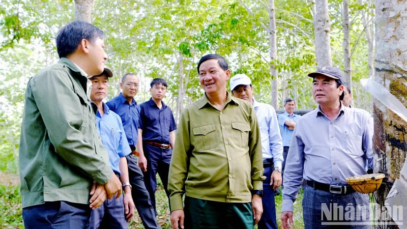 Đồng chí Trần Đức Quận (giữa) và Phó Chủ tịch UBND tỉnh Lâm Đồng Phạm S (bìa phải) tìm hiểu tình hình hoạt động của doanh nghiệp cao-su tại địa phương. (Ảnh: Ngọc Ngà)