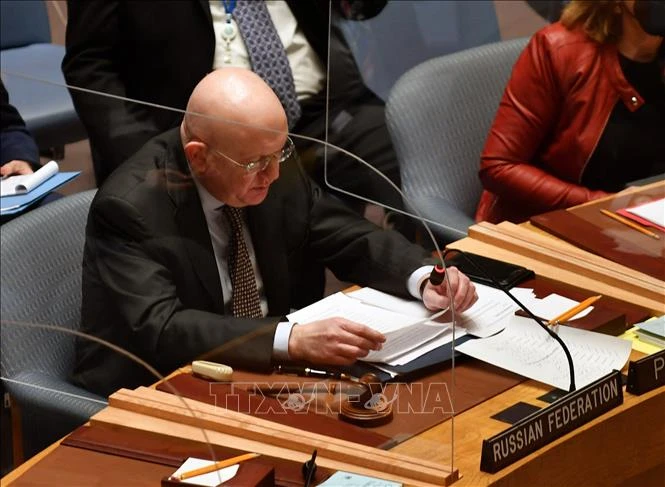 Đại diện thường trực của Nga tại LHQ Vasily Nebenzya. Ảnh tư liệu: AFP/TTXVN