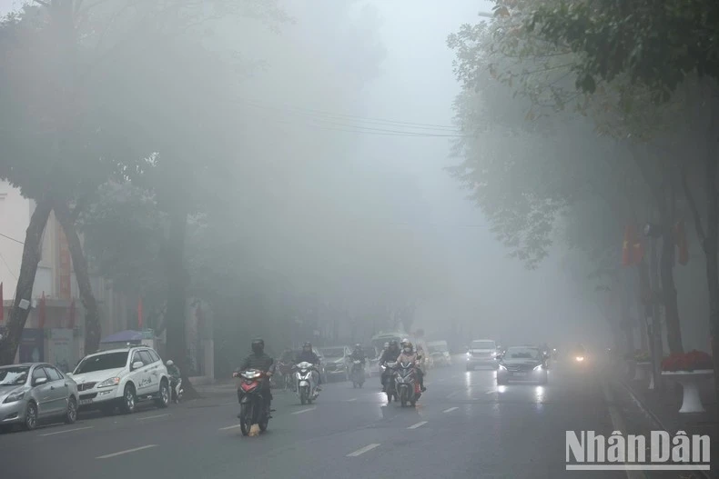 Trẻ em, phụ nữ, phụ nữ mang thai, người già, người có thể trạng yếu, người đang mang bệnh là những đối tượng có nguy cơ cao bị suy giảm sức khỏe bởi ô nhiễm không khí.