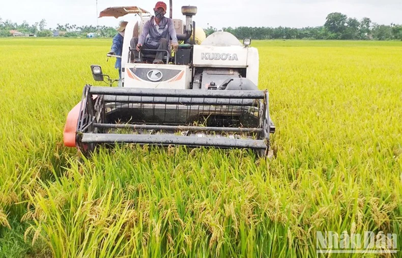 Gio Linh đạt chuẩn nông thôn mới vào năm 2025.