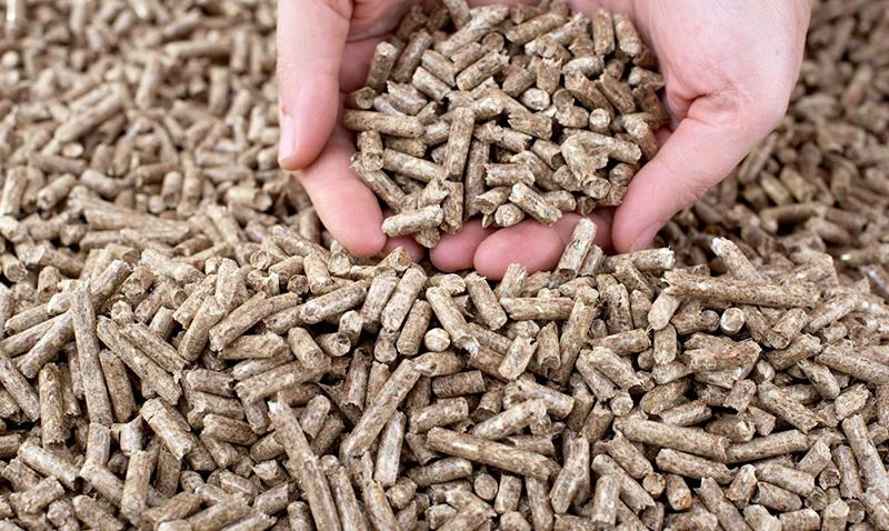 Năm 2022, cả nước có thể đạt kim ngạch xuất khẩu khoảng 700 triệu USD từ viên nén gỗ.