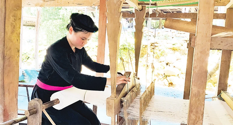 Thiếu nữ Tày (Na Hang, Tuyên Quang) bên khung cửi.