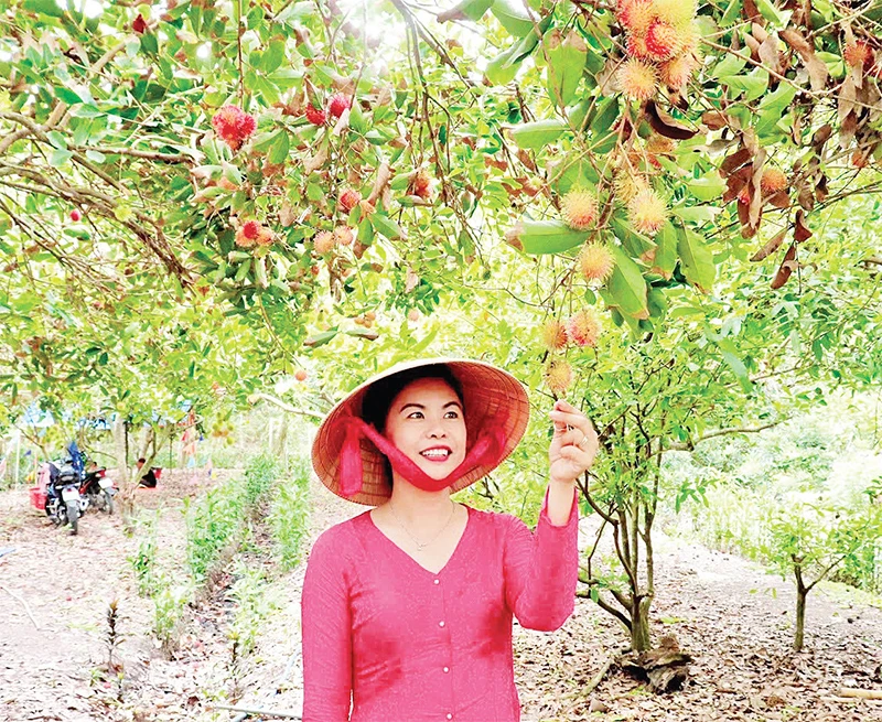 Du khách tham quan, trải nghiệm tại vườn cây sinh thái xã Trung An.