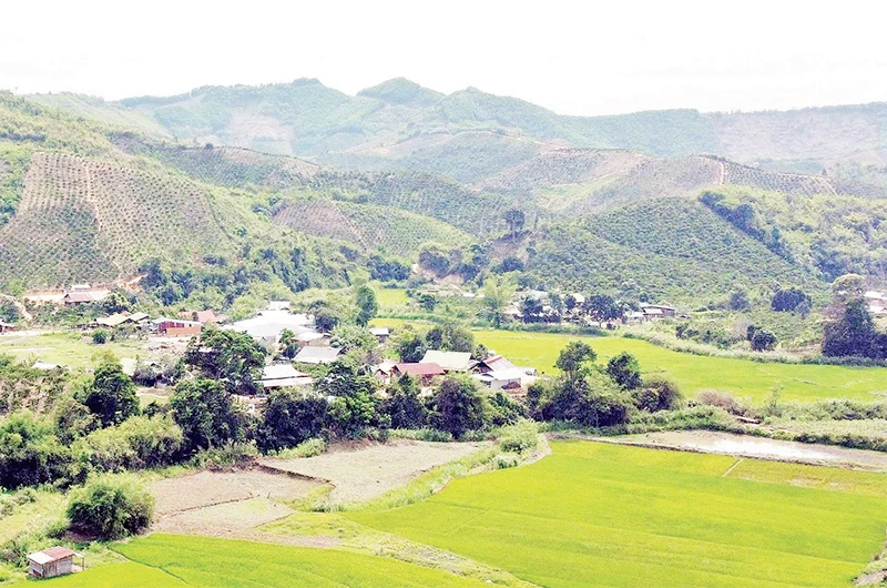 Một trong số 5 cụm dân di cư ngoài quy hoạch tại xã Đắk R’Măng, huyện Đắk Glong (Đắk Nông).