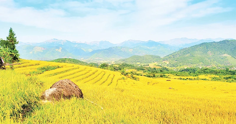 Những thửa ruộng bậc thang rực rỡ sắc mầu tạo nên khung cảnh tuyệt đẹp của mùa vàng Bình Liêu.