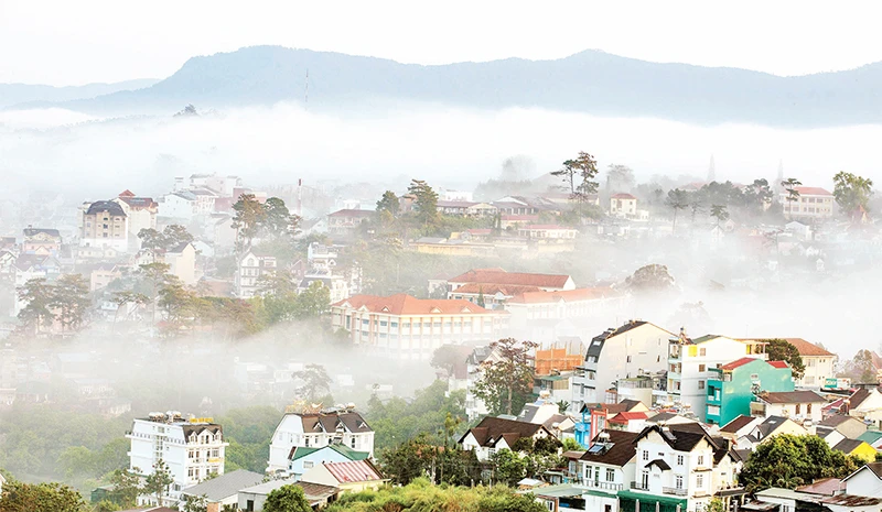 Đà Lạt trong sương.