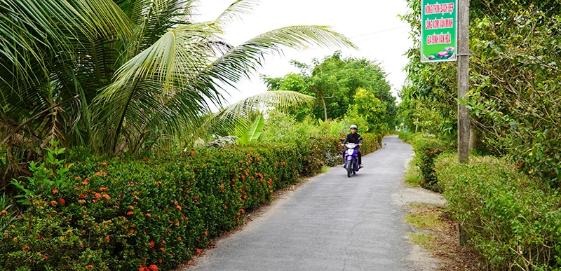 Đoạn đường có hàng rào cây xanh sạch, đẹp.