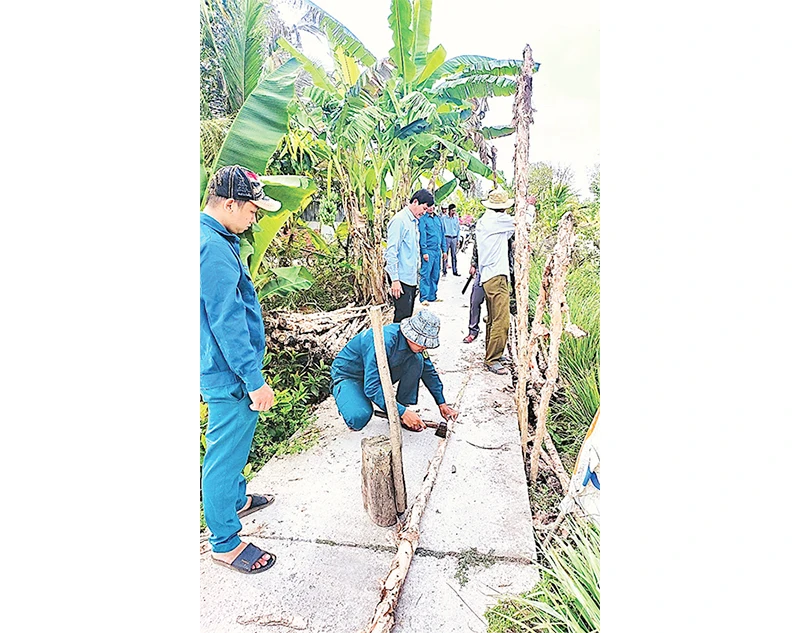 Chính quyền cùng nhân dân xã Trần Hợi (huyện Trần Văn Thời, tỉnh Cà Mau) gia cố những đoạn đường bị sụt lún, sạt lở để giao thông không bị gián đoạn.