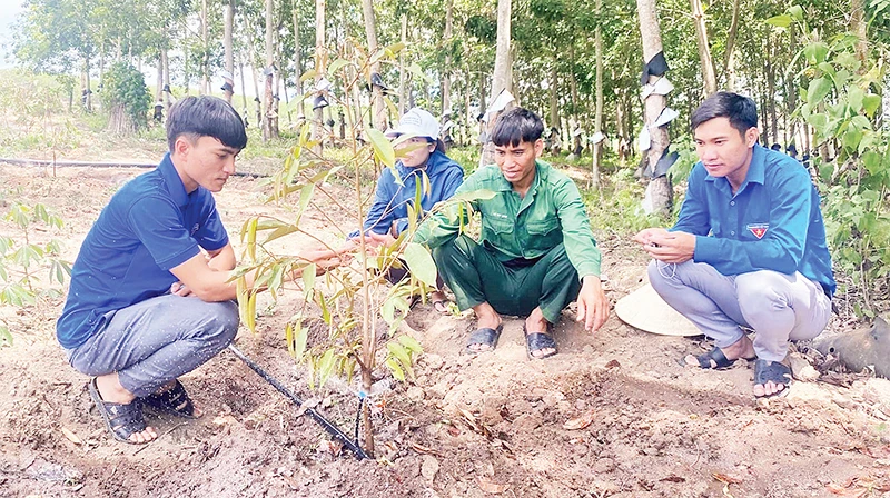 Huyện đoàn Sa Thầy hỗ trợ mô hình phát triển kinh tế cho đoàn viên, thanh niên dân tộc thiểu số.