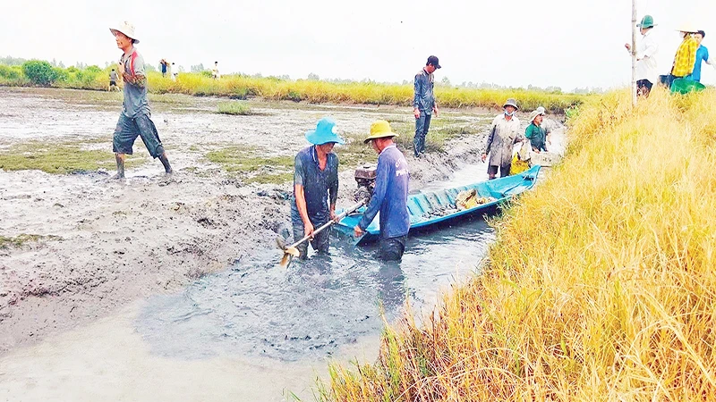Tỉnh Bạc Liêu hiện có hơn 39.600 ha sản xuất theo mô hình lúa-tôm.