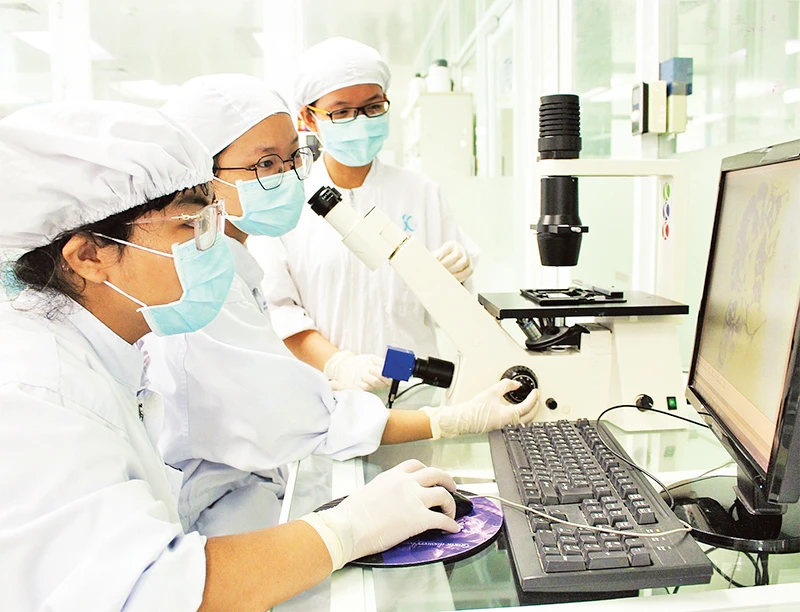 Hoạt động nghiên cứu khoa học tại Đại học Quốc gia Thành phố Hồ Chí Minh.
