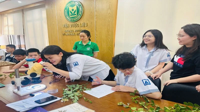 Học sinh học phương pháp phân tích mẫu để xác định tên khoa học cây thuốc.