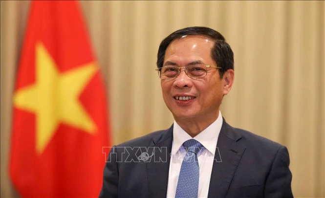 Phó Thủ tướng Chính phủ, Bộ trưởng Ngoại giao Bùi Thanh Sơn. Ảnh: TTXVN.