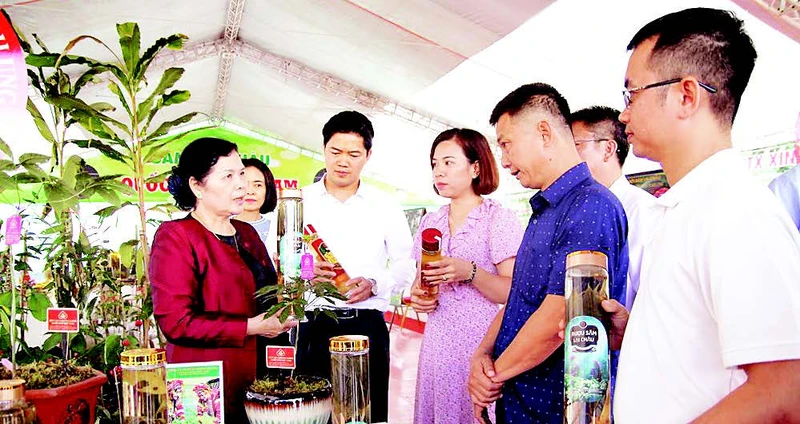 Lãnh đạo tỉnh Lai Châu khảo sát các mô hình phát triển kinh tế tại địa phương.