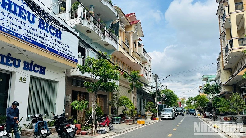 Nhiều tuyến đường ở Bạc Liêu hai hàng cây xanh đang rất đẹp, nhưng bị "bứng không thương tiếc" để thực hiện dự án trồng cây khác, gây lãng phí rất lớn, khiến nhiều cán bộ, nhân dân rất bức xúc, bất bình. Ảnh: TRỌNG DUY