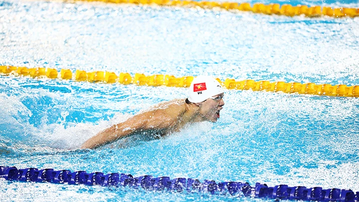 Bơi lội Việt Nam sẵn sàng vươn lên những đỉnh cao mới sau SEA Games. Ảnh: NHƯ ĐẠT