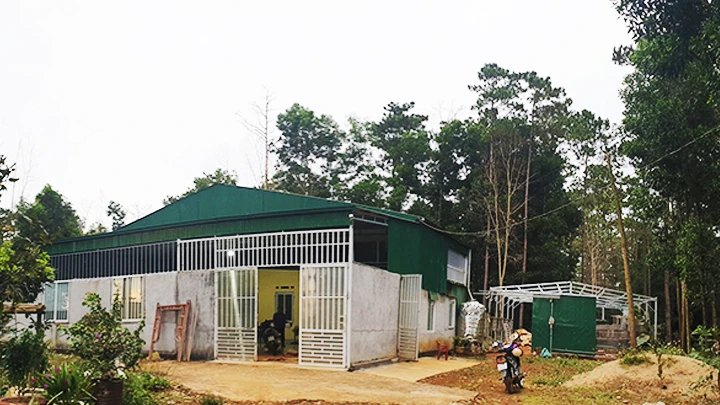 Khu đất rừng ở xã Lộc Phú, huyện Bảo Lâm bị gia đình ông Nguyễn Đức Dạo lấn chiếm.