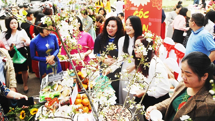 Đua tài, đua sắc.