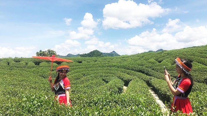 Du khách check-in tại đồi chè với trang phục truyền thống của người H’Mông.