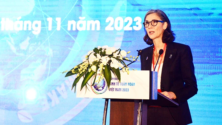 Trưởng đại diện thường trú UNDP phát biểu tại sự kiện.