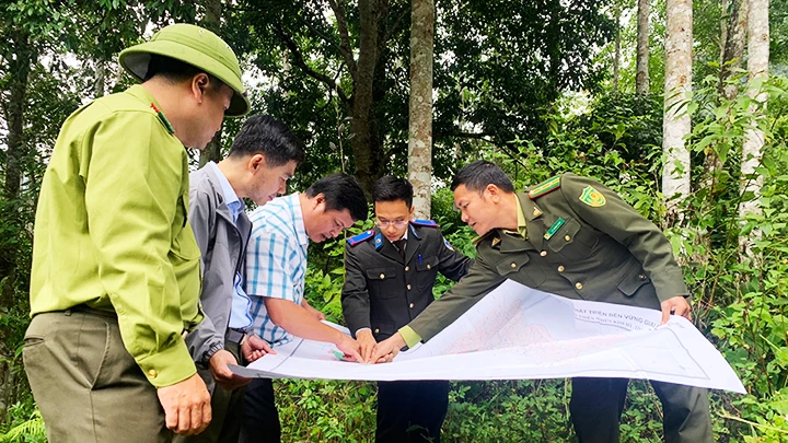 Lãnh đạo ngành nông nghiệp Bắc Kạn và kiểm lâm kiểm tra hiện trạng rừng tại huyện Bạch Thông.