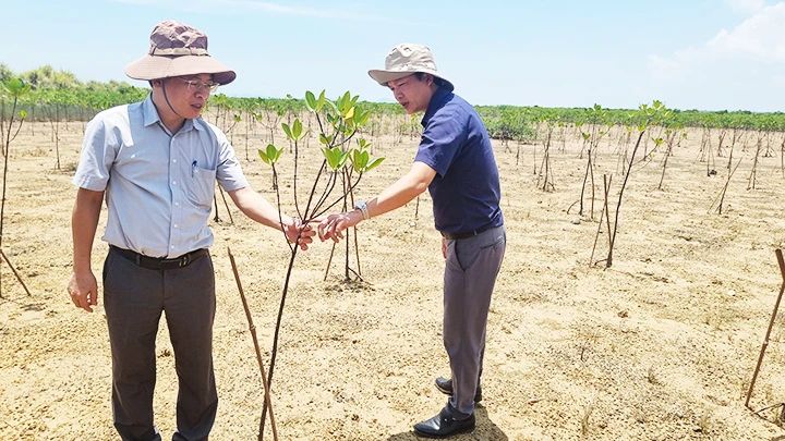 Dự án FMCR thực hiện tại thành phố Móng Cái, Quảng Ninh.