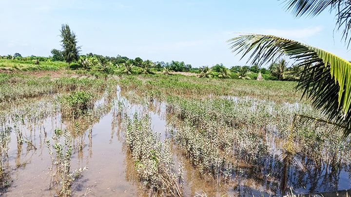  Dự án FMCR tại Hải Phòng.