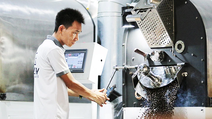 Anh Lương kiểm tra mẻ cà-phê vừa rang.