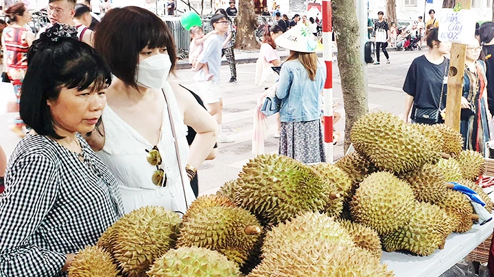 Xuất khẩu sầu riêng thu hơn 500 triệu USD