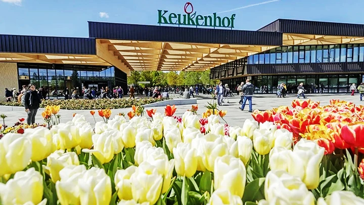 Mùa tham quan tại vườn Keukenhof