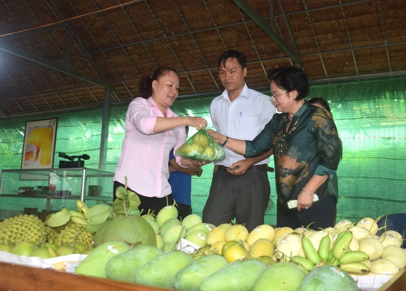 Quả xoài đang có nhiều cơ hội xuất khẩu vào thị trường Mỹ.