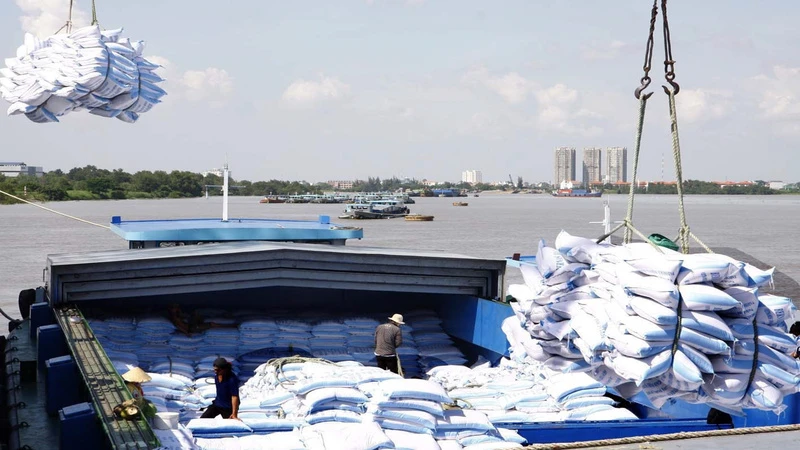 Kim ngạch xuất khẩu gạo tăng cao tạo động lực cho sản xuất lúa trong nước. 