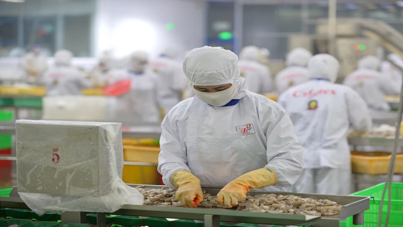 Xuất khẩu thủy sản sang Trung Quốc được kỳ vọng tăng trưởng mạnh trong năm 2024. 