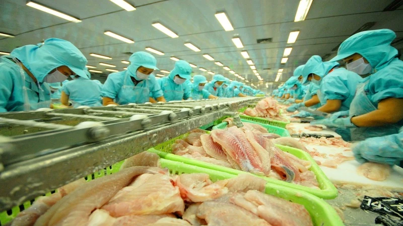 Xuất khẩu cá tra của Việt Nam tăng trưởng mạnh nhờ các hiệp định thương mại tự do. 