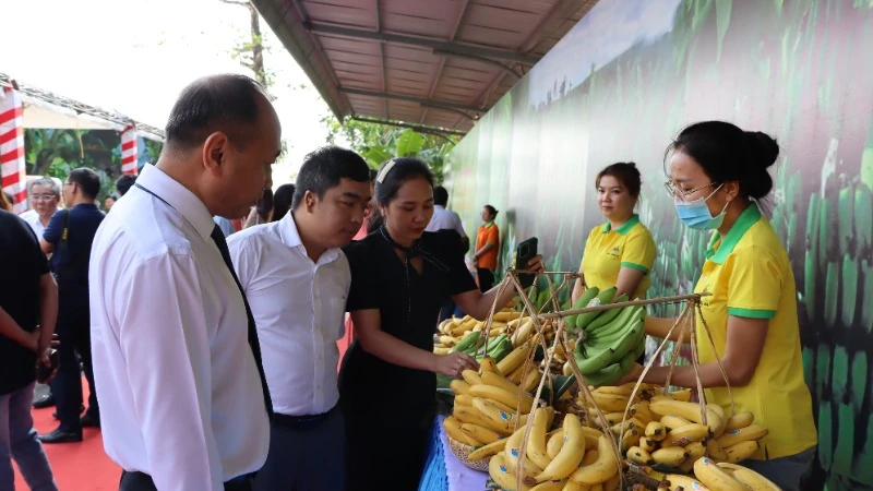 Sản phẩm chuối của Việt Nam rộng đường xuất khẩu sang thị trường Trung Quốc. 
