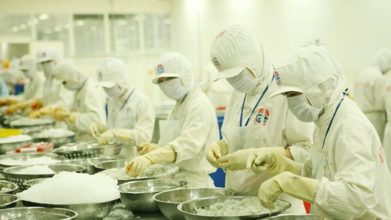 Thủy sản là một trong những mặt hàng còn nhiều cơ hội xuất khẩu sang các thị trường chủ lực như Mỹ, Trung Quốc và Nhật Bản. 