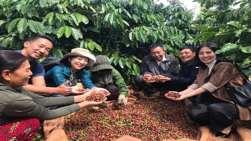 Cà-phê là một trong những nông sản Việt Nam xuất khẩu nhiều vào thị trường ASEAN.
