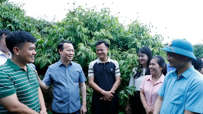 Bộ trưởng Nông nghiệp và Môi trường Đỗ Đức Duy trao đổi với chủ vườn vải, cán bộ khuyến nông, doanh nghiệp thu mua vải thiều tại huyện Tân Yên, tỉnh Bắc Giang. (Ảnh: KHƯƠNG TRUNG)