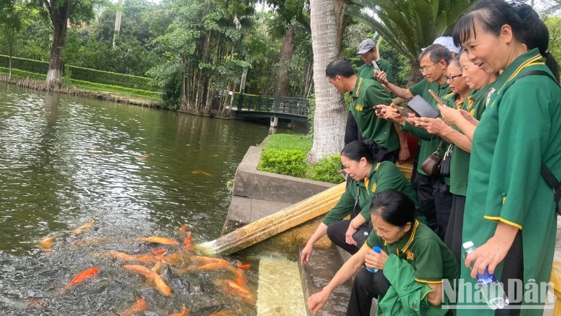 Du khách tham quan ao cá Bác Hồ. 
