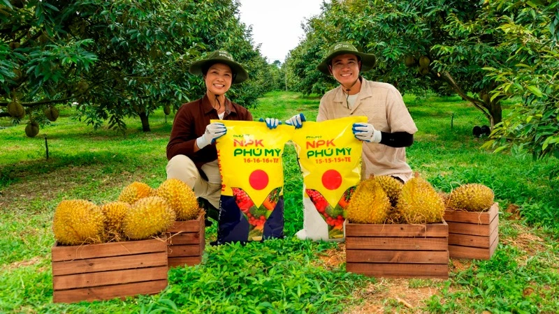 Được sản xuất bằng công nghệ hiện đại, NPK Phú Mỹ bảo đảm hàm lượng Cd cực thấp, giúp kiểm soát tồn dư kim loại nặng, bảo vệ đất và nâng cao chất lượng trái.