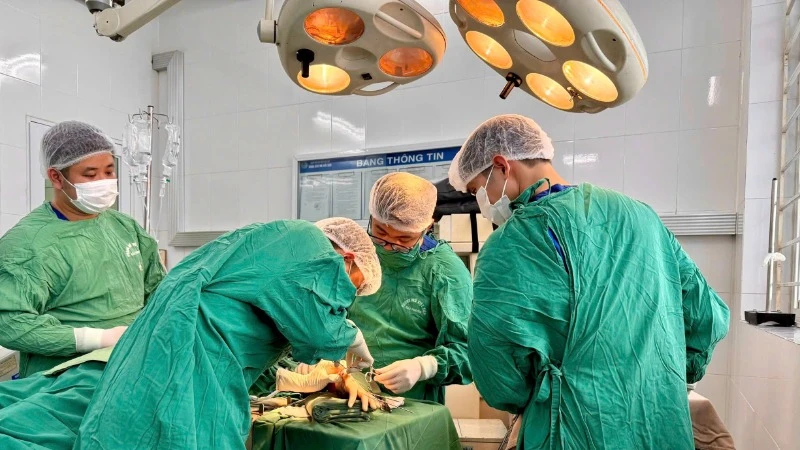 Ca phẫu thuật diễn ra trong 10 giờ, bàn tay trái bị đứt rời của bệnh nhân đã được nối lại thành công.