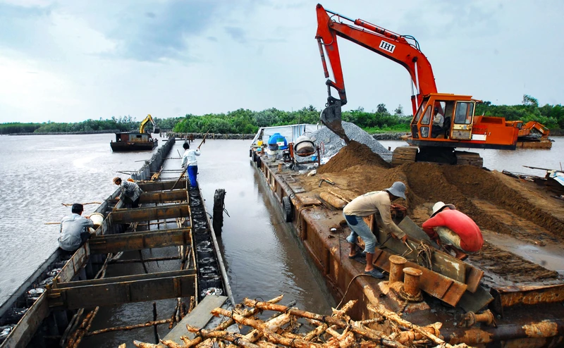 Phía sau các công trình kè Biển Tây đã hình thành các thảm rừng tái sinh. Ảnh: Phương Bằng