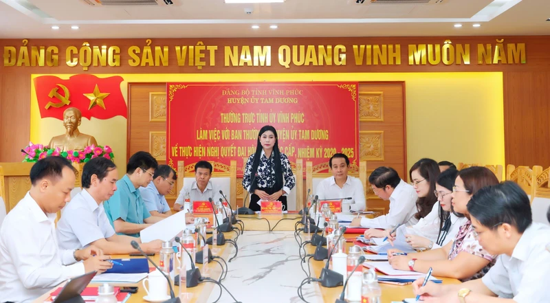 Thường trực Tỉnh ủy Vĩnh Phúc yêu cầu Ban Thường vụ Huyện ủy Tam Dương khắc phục những vụ việc tồn đọng, vi phạm trước đây.