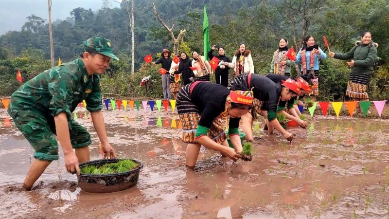 Đồn Biên phòng Na Loi cùng chính quyền xã Na Loi (huyện Kỳ Sơn) phối hợp tổ chức “Hội thi cấy lúa” chào xuân Ất Tỵ 2025.