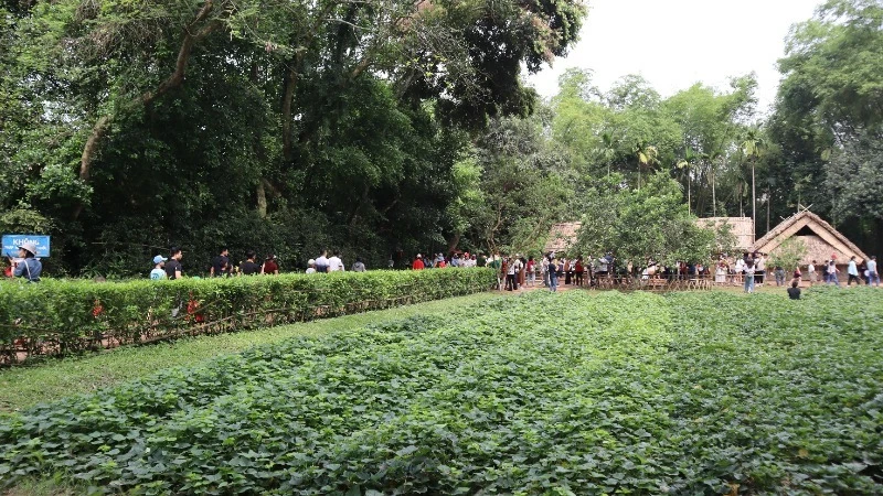 Hàng nghìn người dân, du khách đã về thăm khu Di tích lịch sử quốc gia đặc biệt Kim Liên - Quê hương của Chủ tịch Hồ Chí Minh.