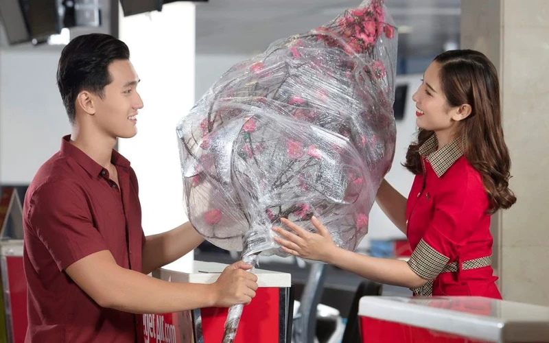 Mang Xuân về nhà, Vietjet vận chuyển mai, đào Tết