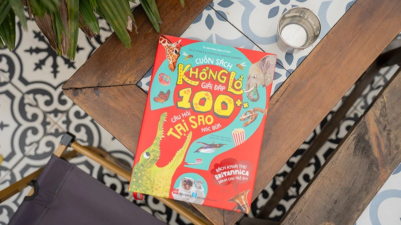 Sách được trình bày đẹp, hấp dẫn. (Ảnh: Đinh Tị Books)