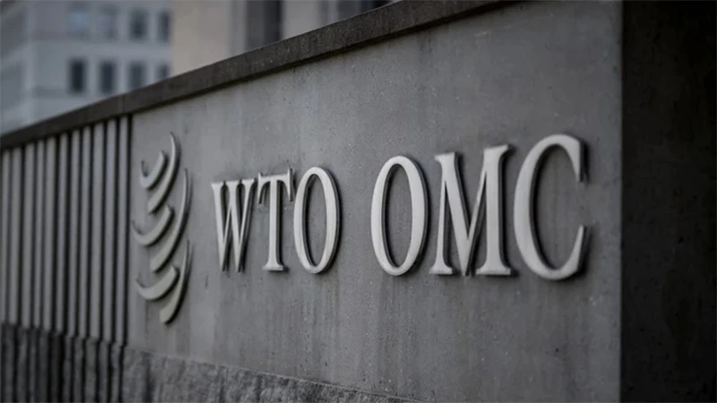 Các nhà lãnh đạo Tổ chức Thương mại Thế giới (WTO) kêu gọi nhanh chóng cải cách tổ chức đa phương này để duy trì tự do thương mại toàn cầu.